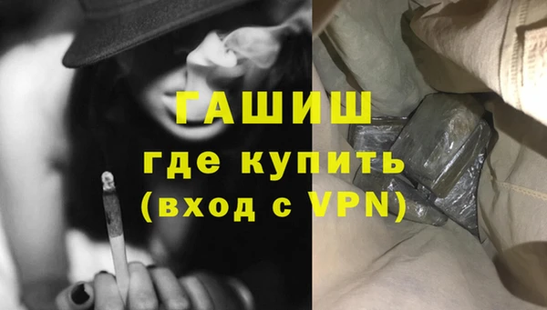 гидра Абаза