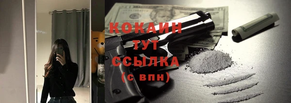 гидра Абаза