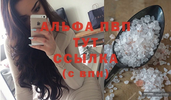 гидра Абаза