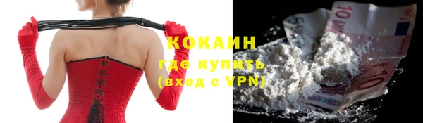 гидра Абаза