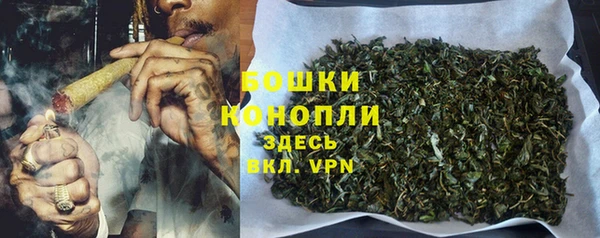 твердый Няндома