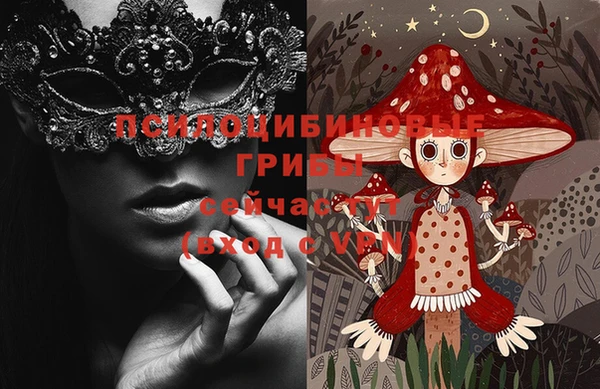 PSILOCYBIN Алексин