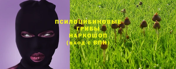 спиды Алексеевка