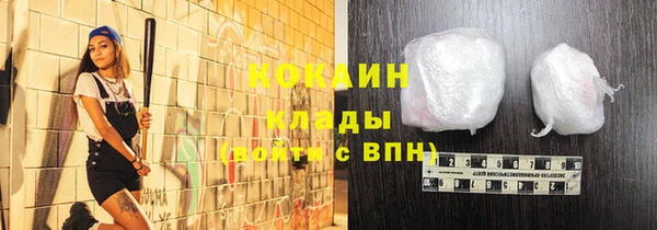 гидра Абаза
